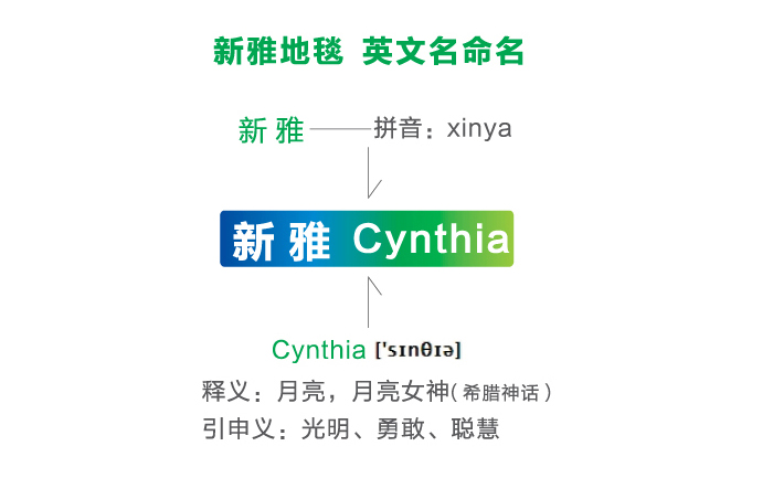 新雅地毯标志设计